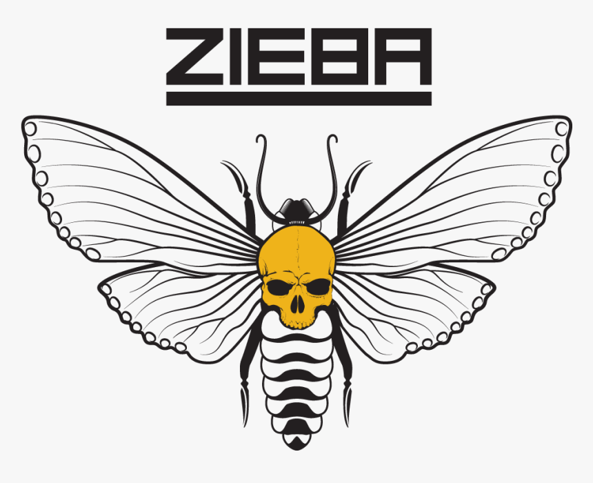 Zieba-2020 - Illustration, HD Png Download