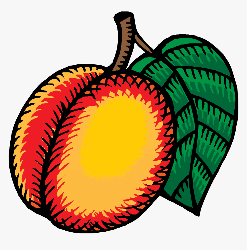 Border Clipart Peach Tree Clipart Avocado Clipart Apricot - Cartoon Nectarines, HD Png Download