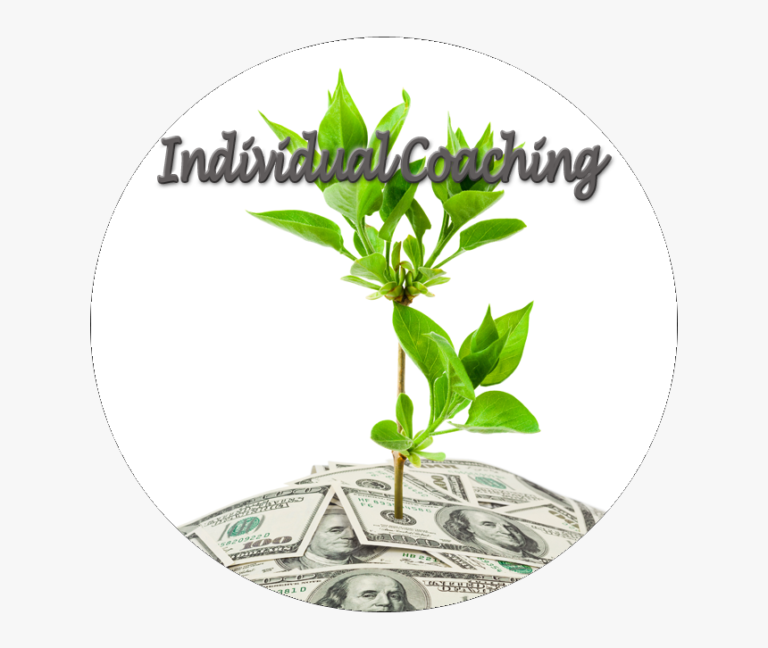 Green Revolution Is The Best Solution To Arrest Pollution, HD Png Download