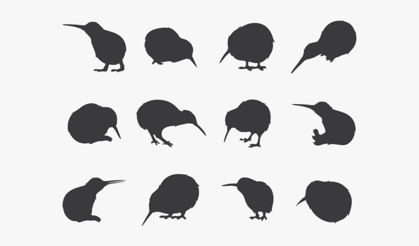 Kiwi Bird Silhouettes - Kiwi Bird Icon Vector, HD Png Download