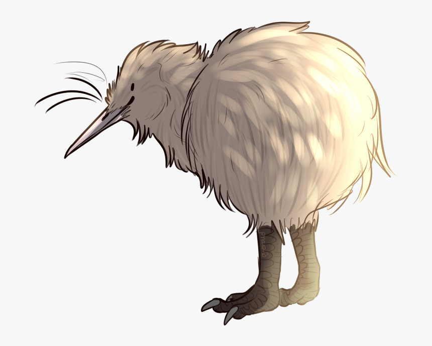 Clip Art Collection Free Transparent Birds - Kiwi Bird Transparent Background, HD Png Download