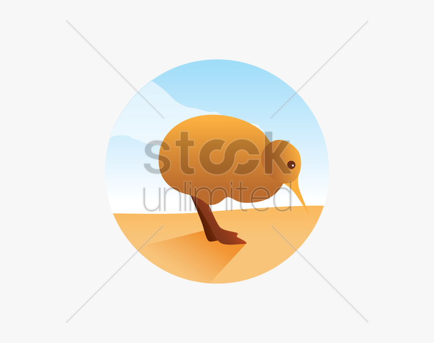 Kiwi Bird Clipart Transparent - Sandpiper, HD Png Download