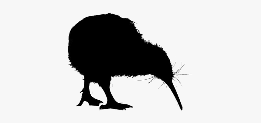 Kiwi Birds Png Transparent Images - Flightless Bird, Png Download