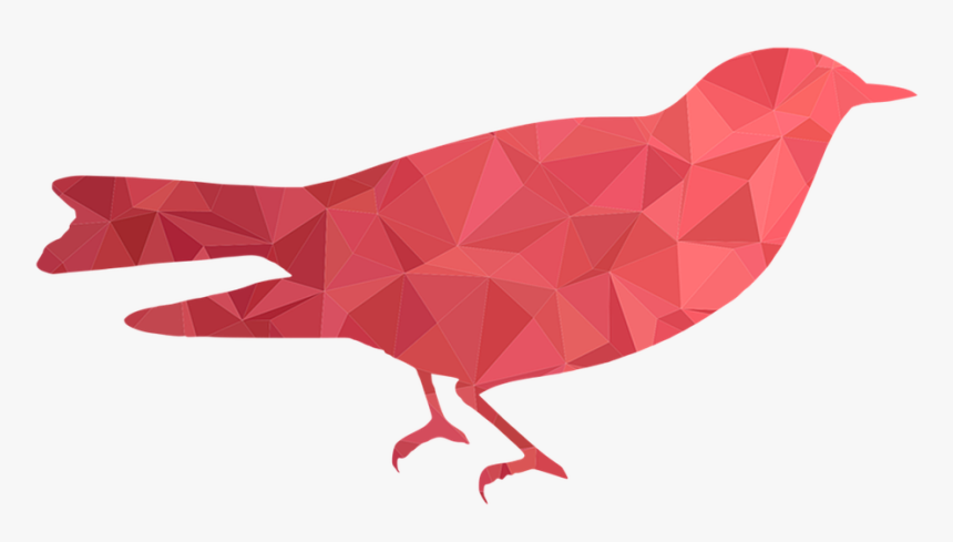 American Rosefinches, HD Png Download