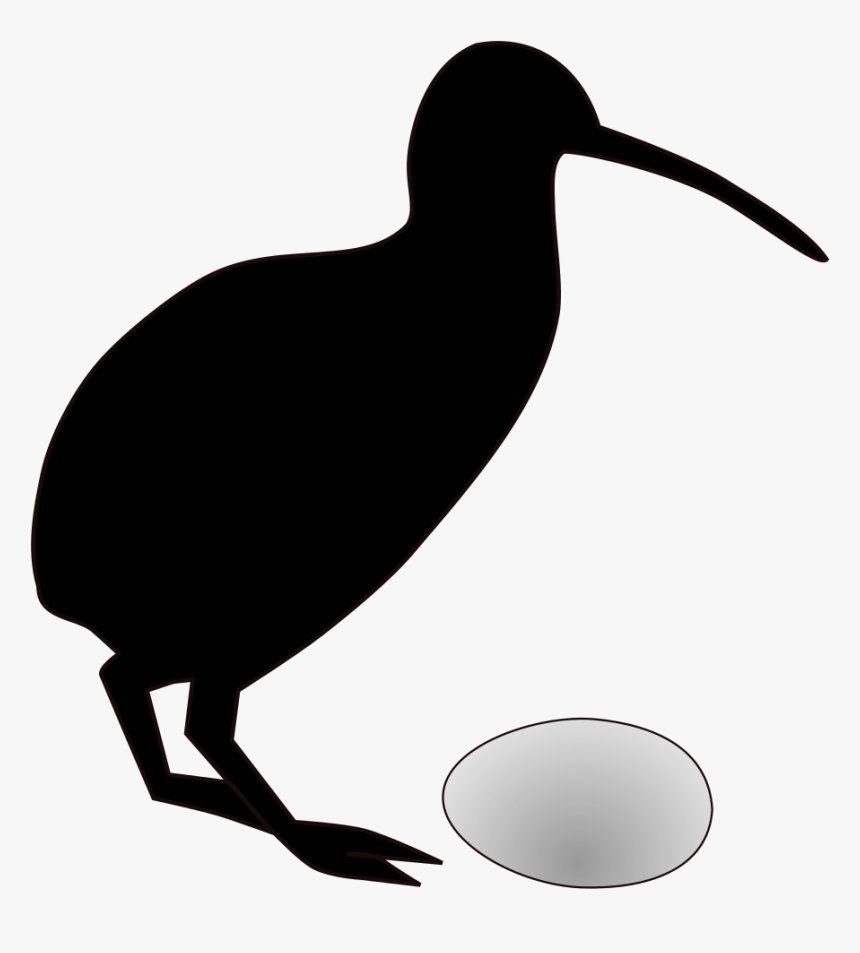 Kiwi Egg Drawing, HD Png Download