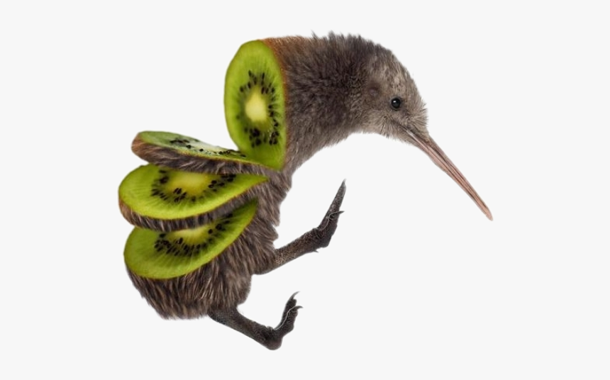 #kiwi #bird #fun - Kiwi Bird Sliced, HD Png Download