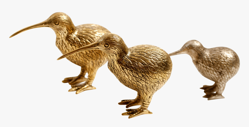 Duck, HD Png Download