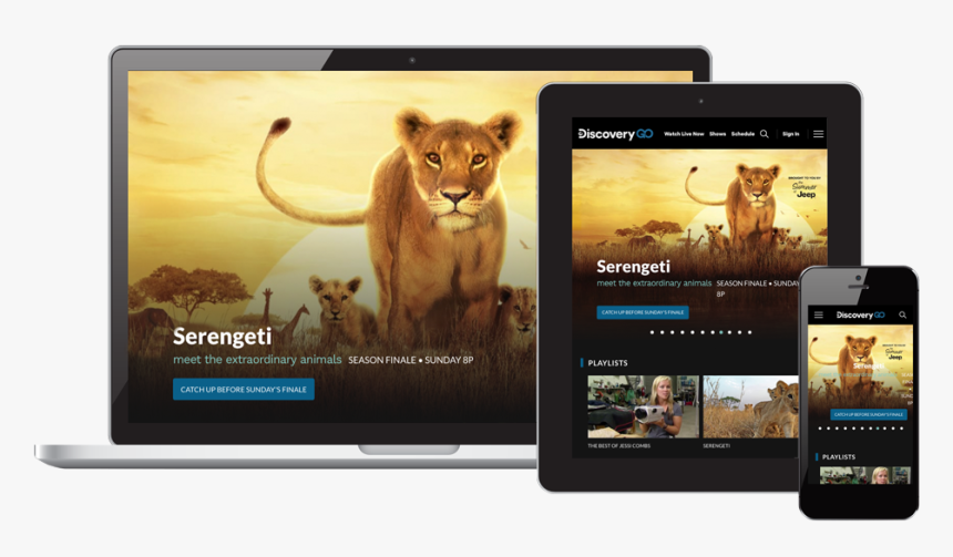 Laptop, Tablet, And Cell Phone With Screens Showing - Lion, HD Png Download