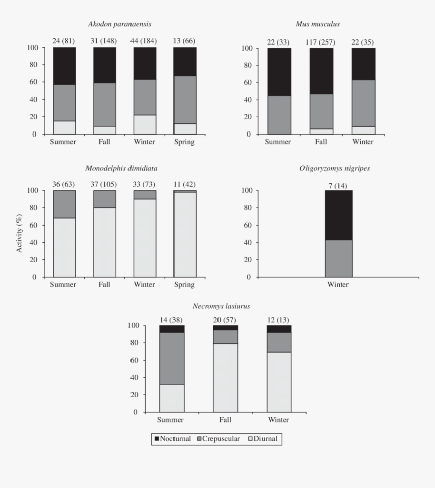Diagram, HD Png Download