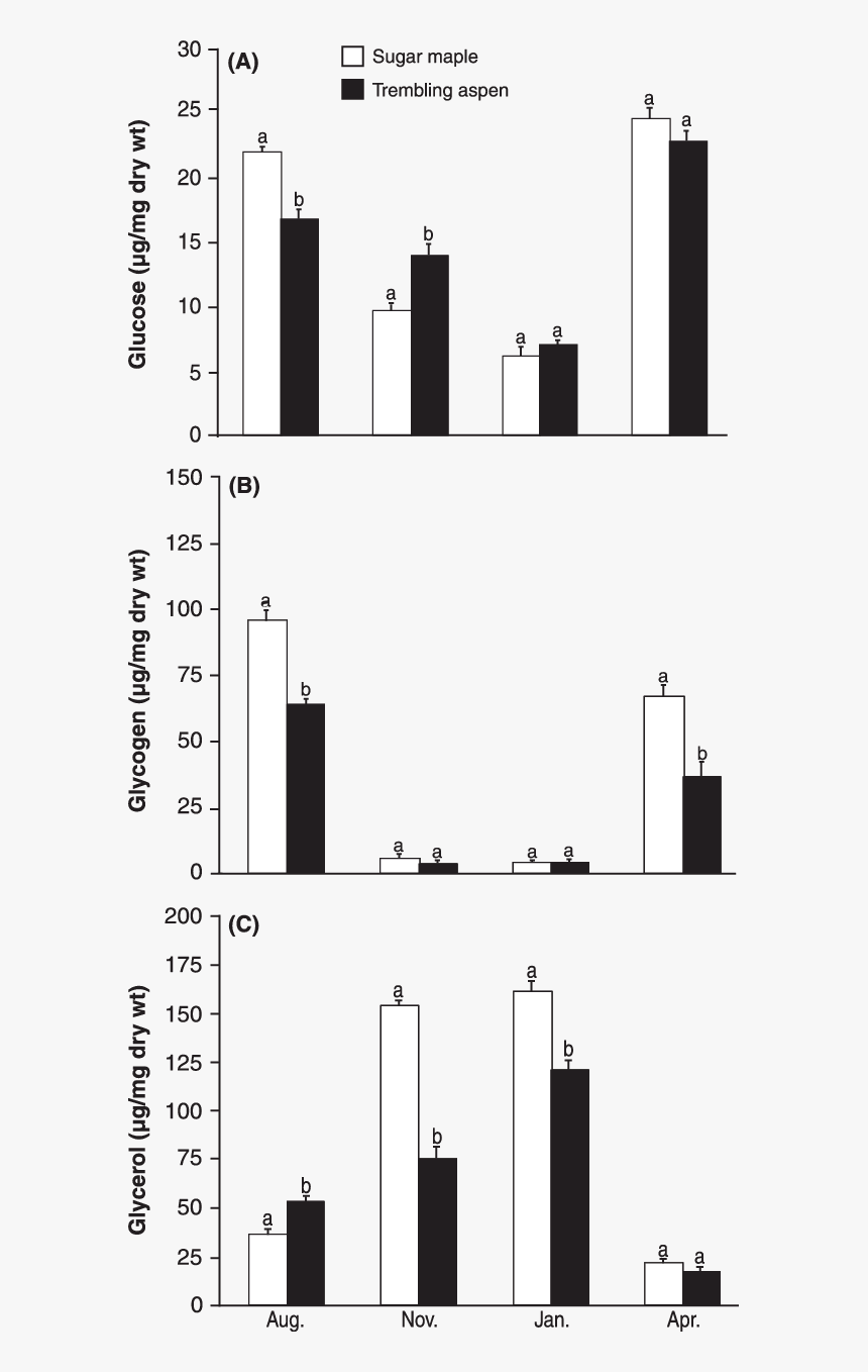 Diagram, HD Png Download