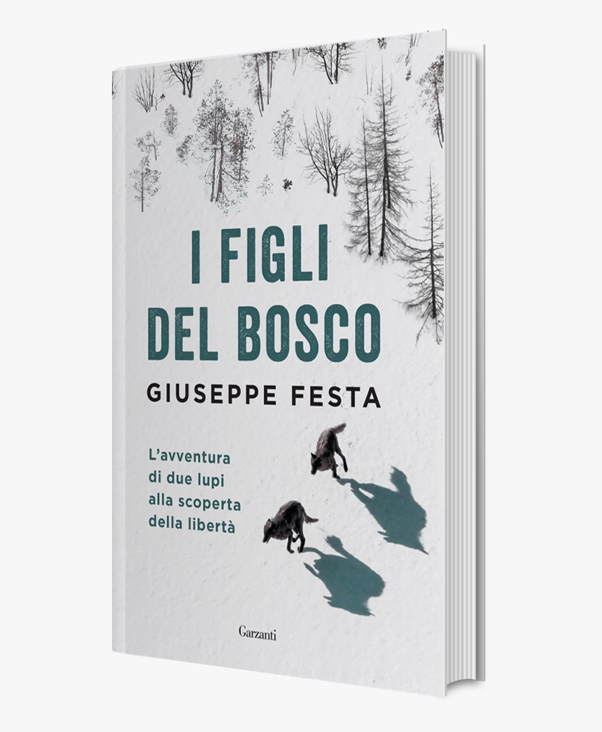 Figli Del Bosco, HD Png Download