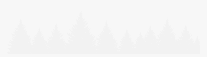 Christmas Tree, HD Png Download