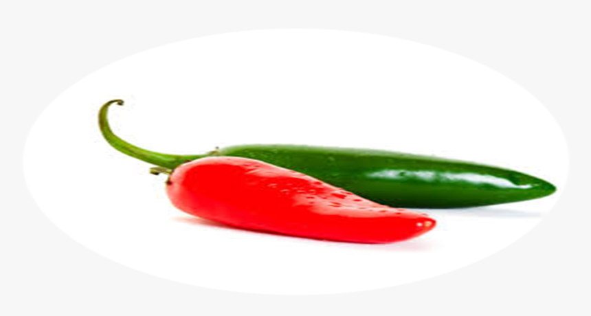 Bird's Eye Chili, HD Png Download