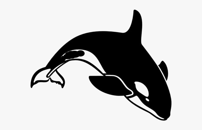 Killer Whale Png Transparent Images - Orca Clipart, Png Download
