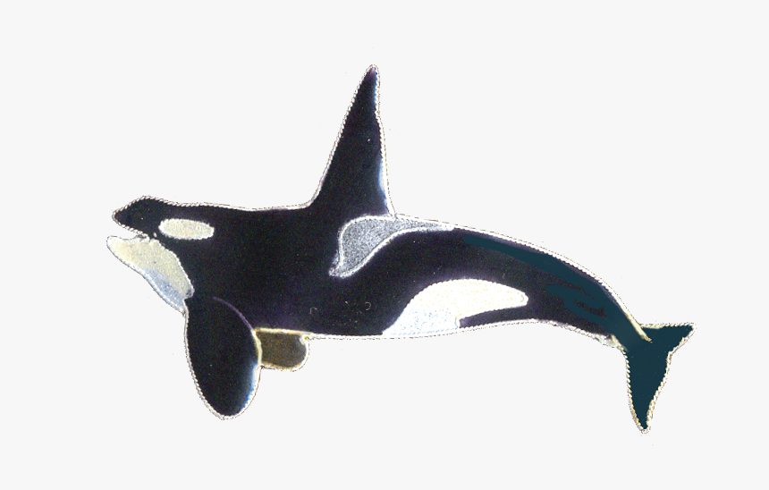 0045pin, HD Png Download