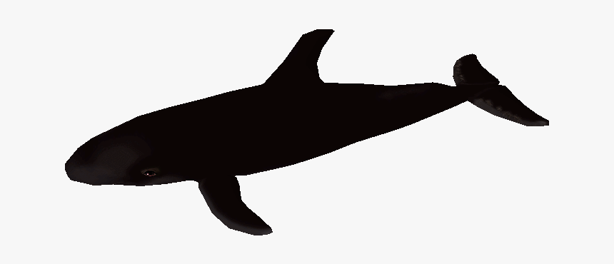 Download Zip Archive - Killer Whale, HD Png Download