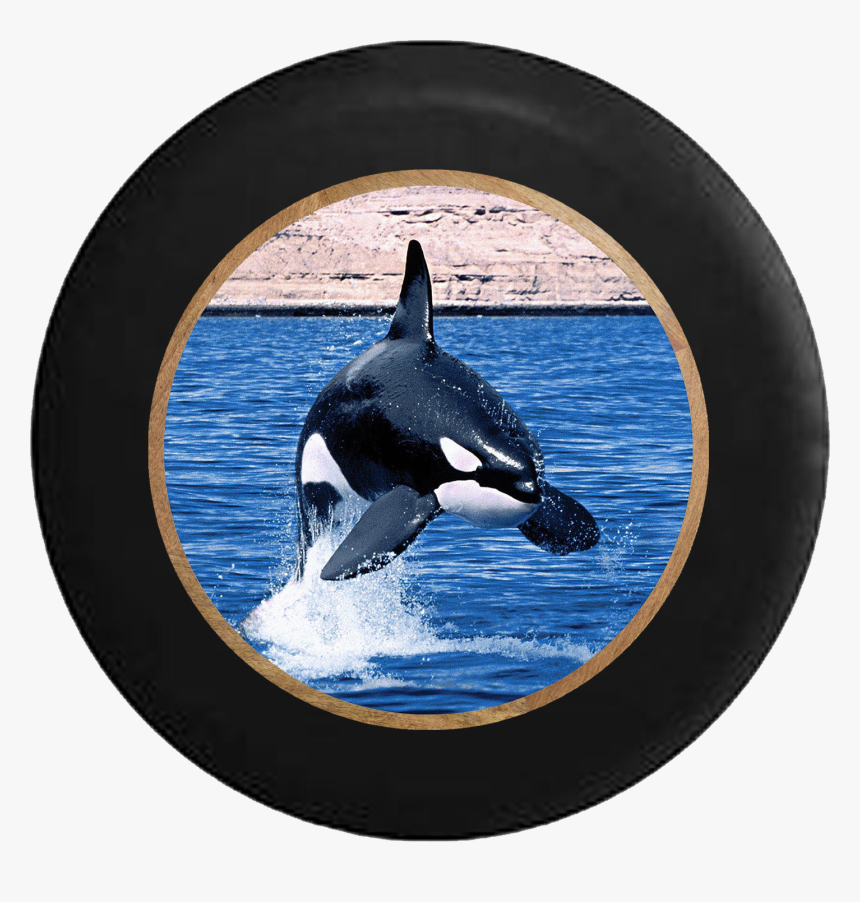 Killer Whale Orca Jumping In The Ocean Rv Camper Spare - Orca, HD Png Download