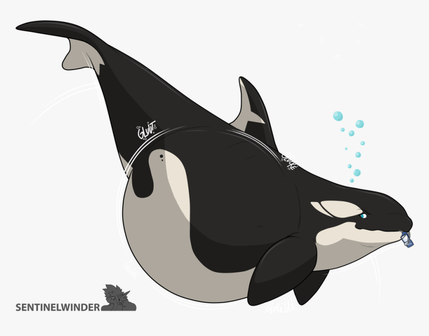 Hungriest Orca -, HD Png Download