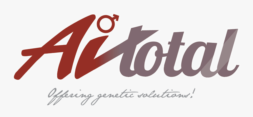 Calligraphy, HD Png Download