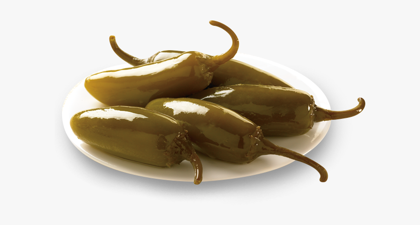 Japanese Rhinoceros Beetle, HD Png Download