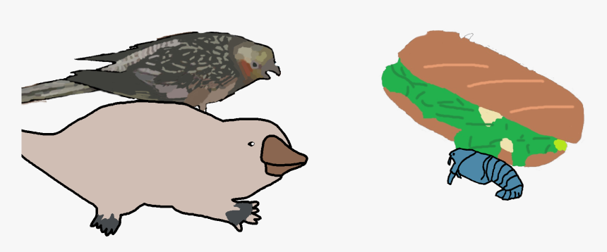 Cockatiel, HD Png Download