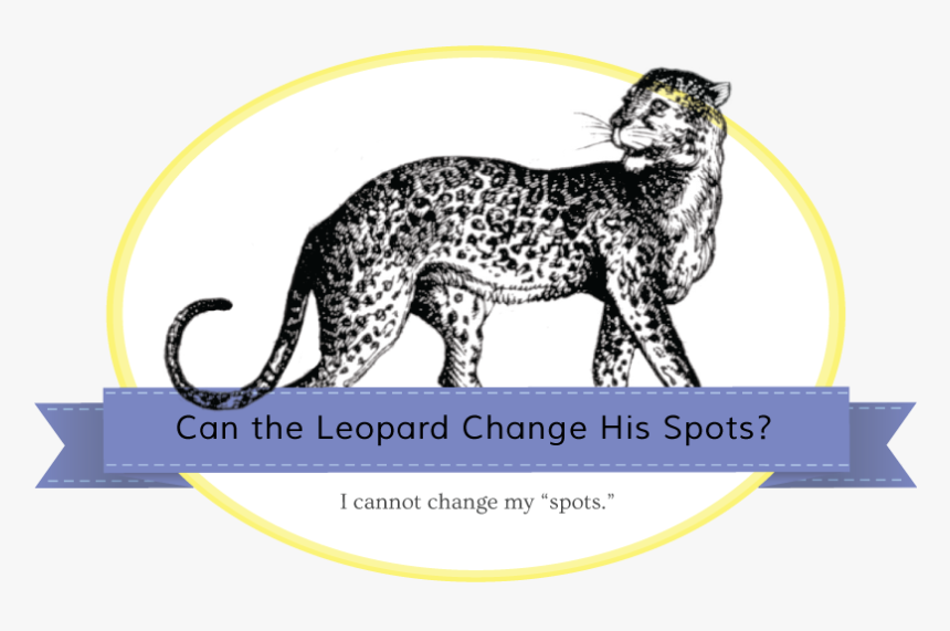 Jaguar-banner - Cheetah, HD Png Download