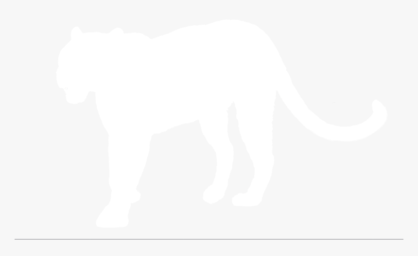 Elephant, HD Png Download