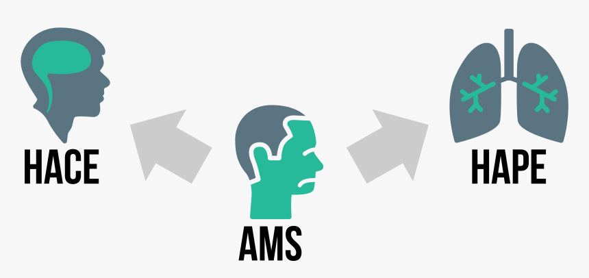 Altill - German Entrepreneurship Asia, HD Png Download