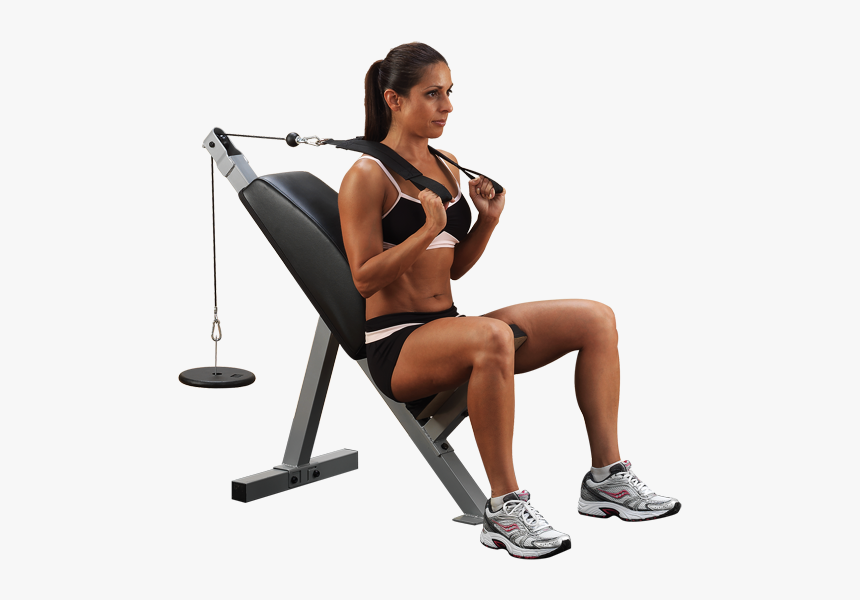Body Solid Ab, HD Png Download