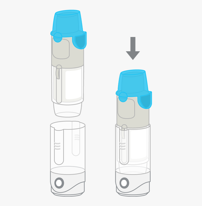 Clip Art, HD Png Download