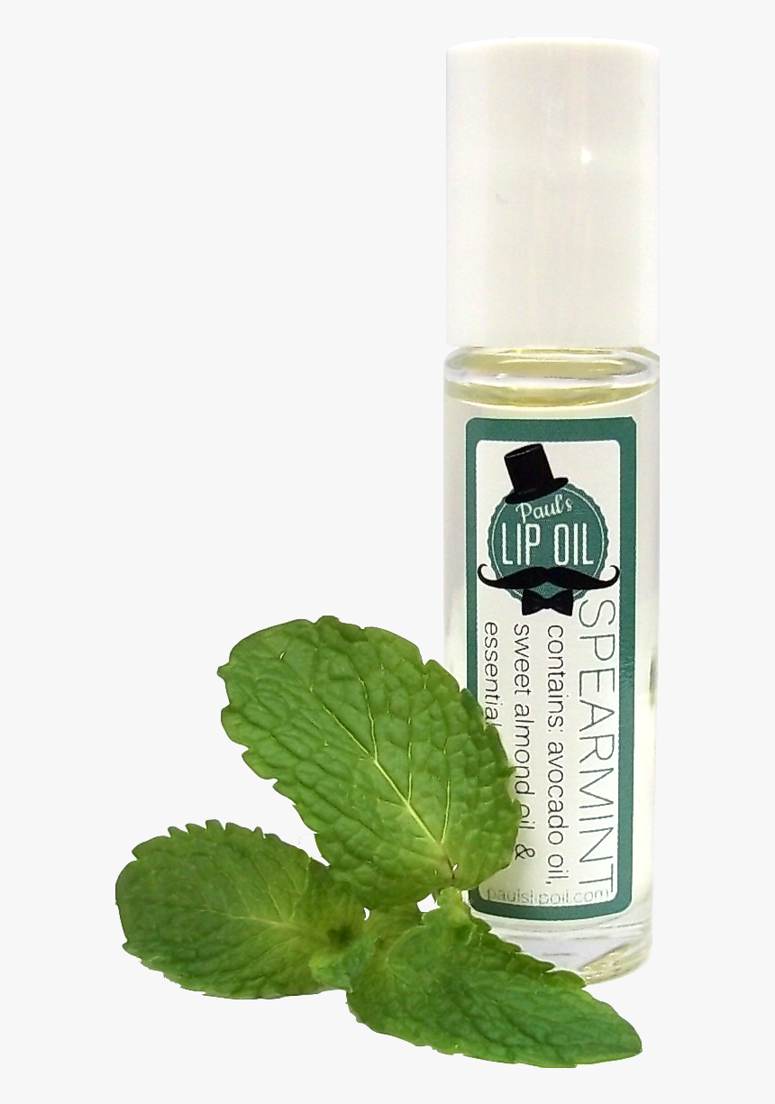 Spearmint Plo - Glass Bottle, HD Png Download