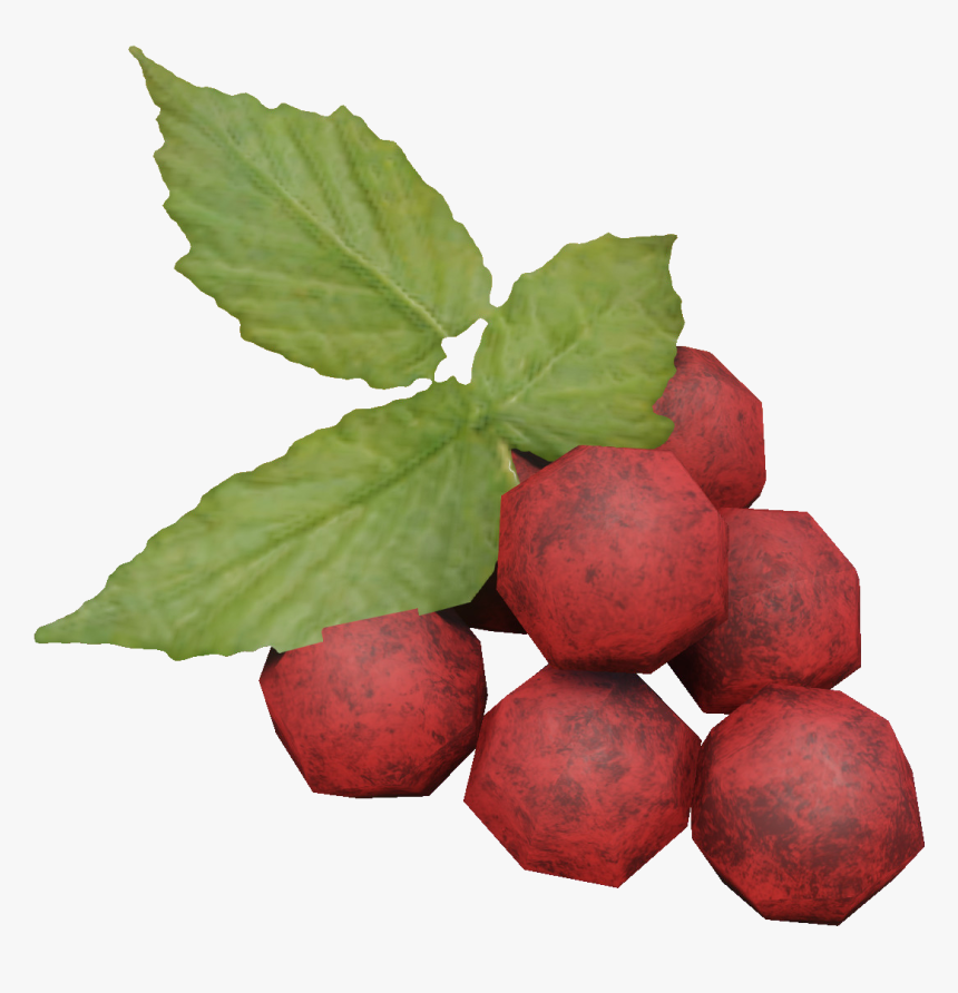 Miscreated Wiki - Seedless Fruit, HD Png Download