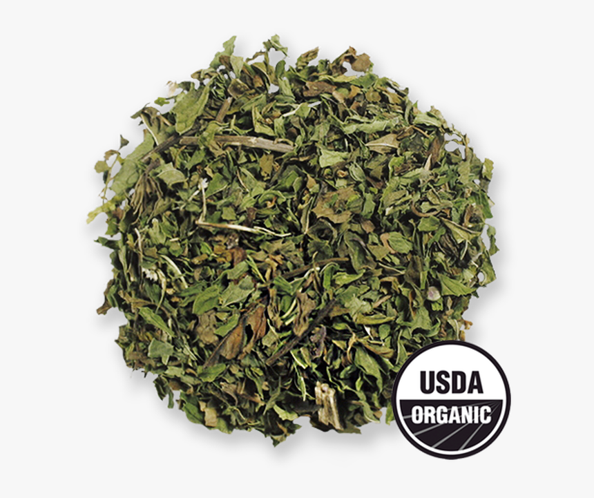 Organic Spearmint From The Jasmine Pearl Tea Co - Common Sage, HD Png Download