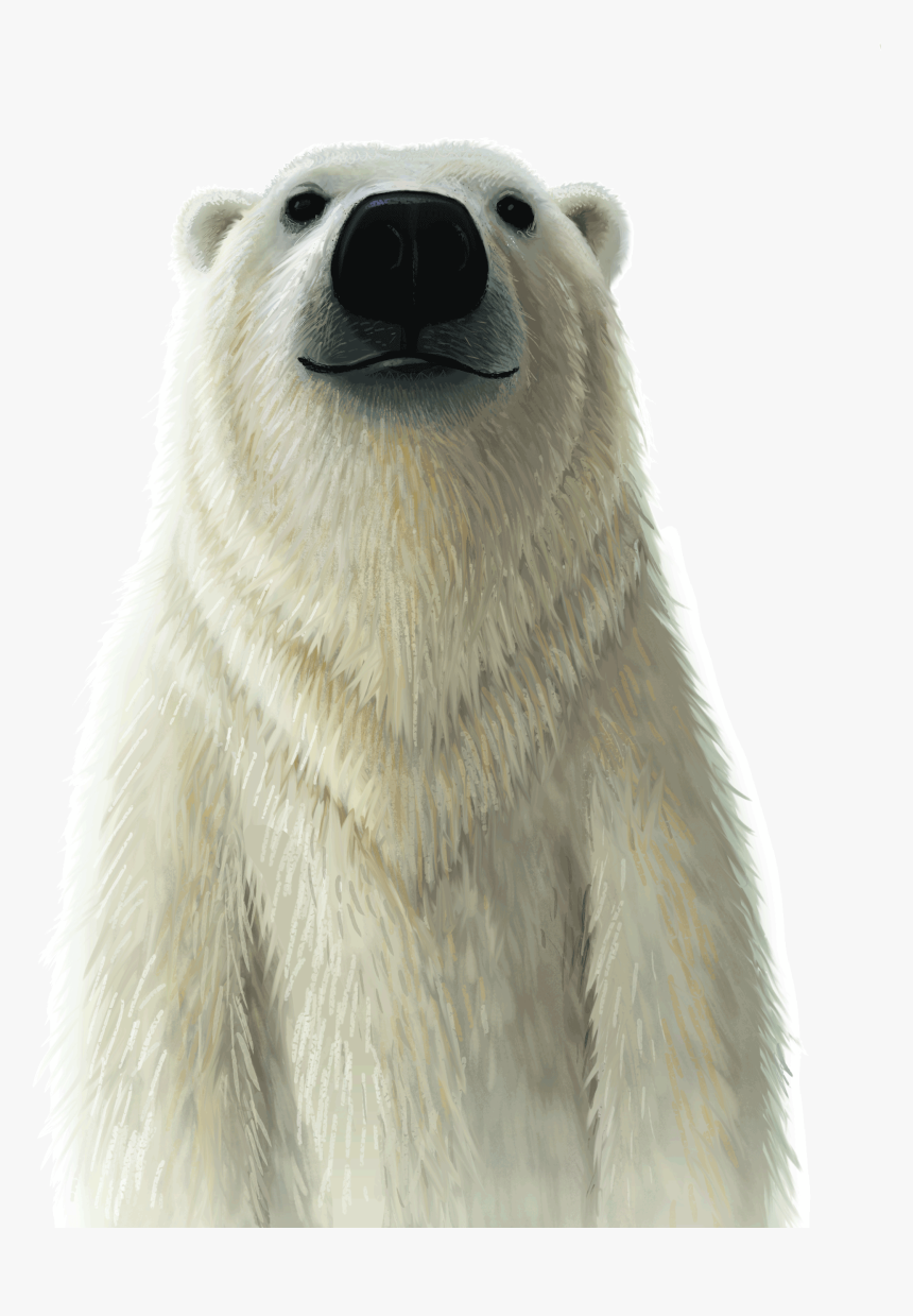 Wild Vbs 2019 Animals, HD Png Download
