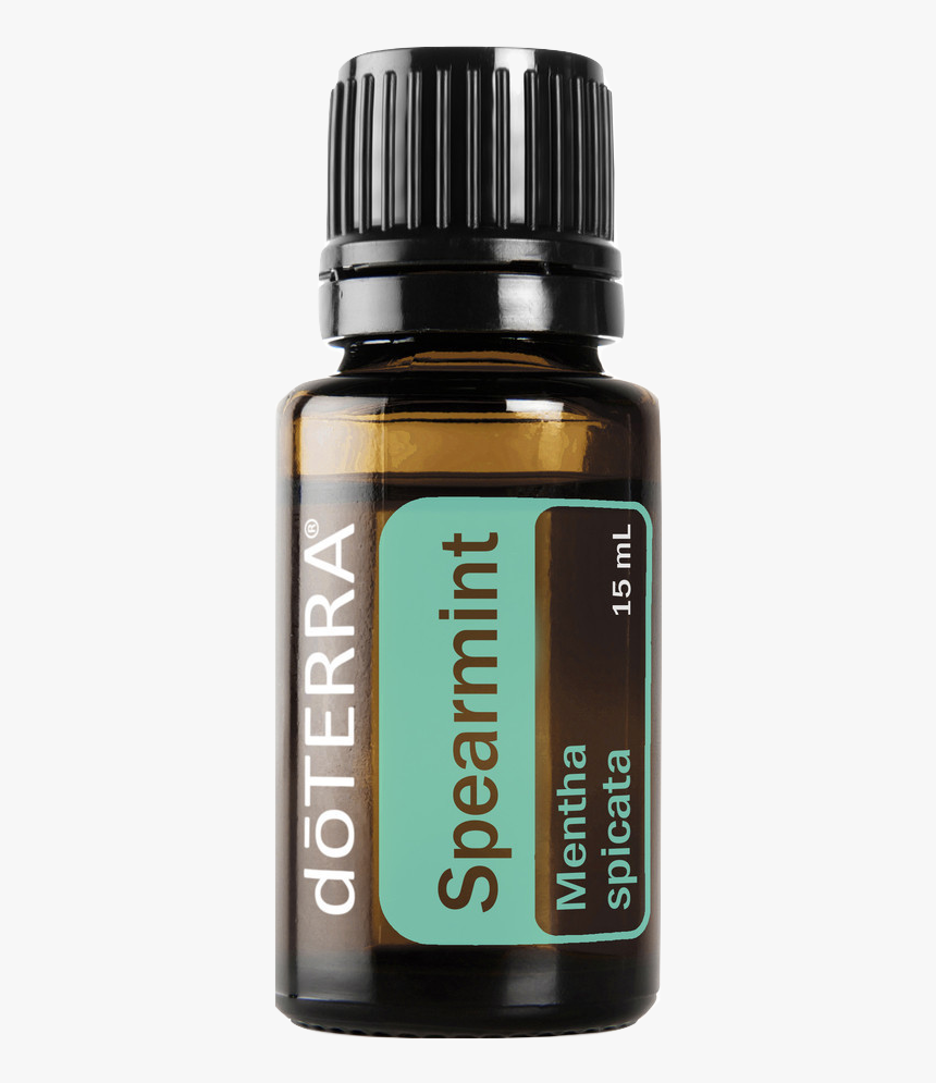 Spearmint Pdfspearmint Png - Essential Oil, Transparent Png
