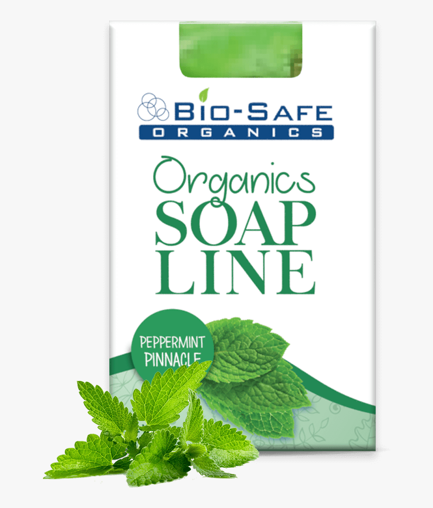 Mint, HD Png Download