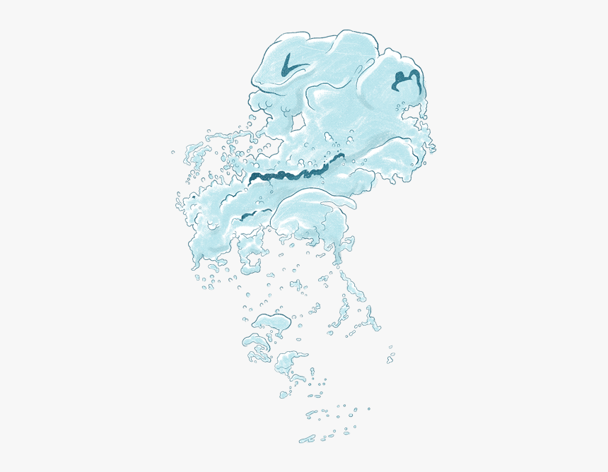 Seahorse, HD Png Download