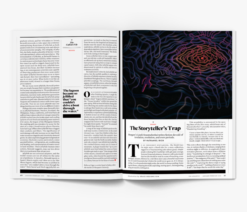 Document, HD Png Download