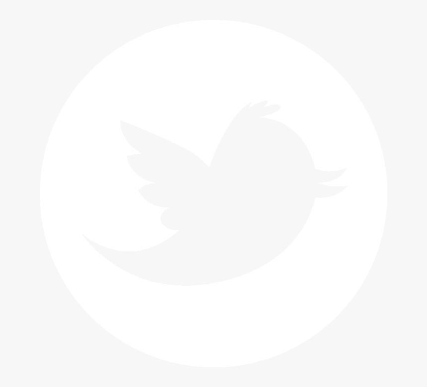 Twitter Logo Black Png, Transparent Png - Logo Twitter Png Blanc, Png Download
