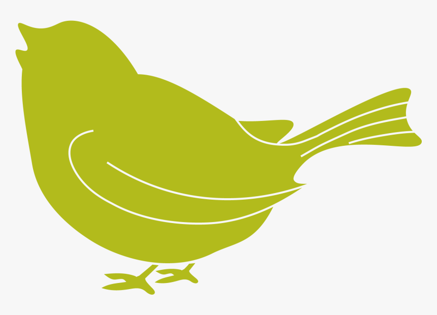 Transparent Baby Skunk Clipart - Baby Bird Green Png, Png Download