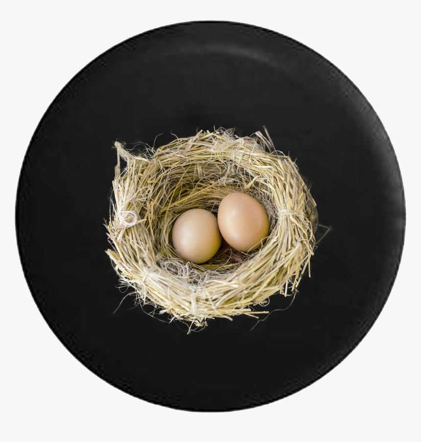 Birds Nest With Baby Bird Eggs Jeep Camper Spare Tire - Nest Png, Transparent Png