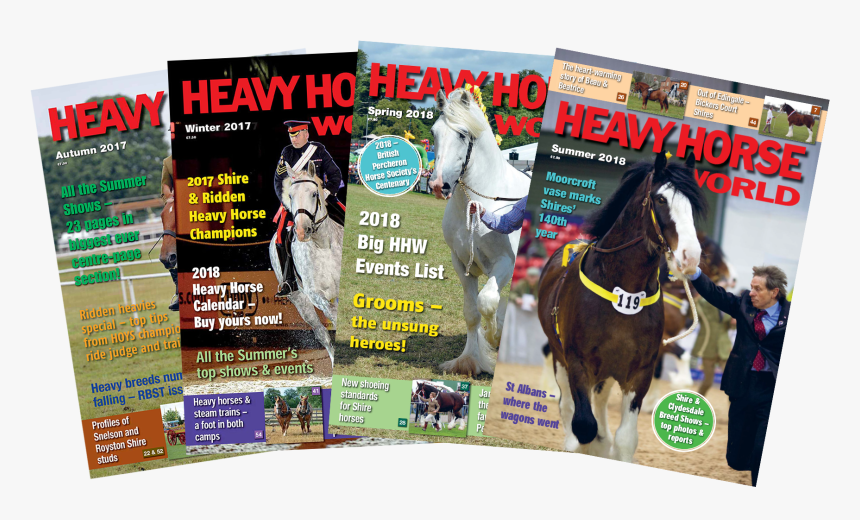 Flyer , Png Download - Stallion, Transparent Png