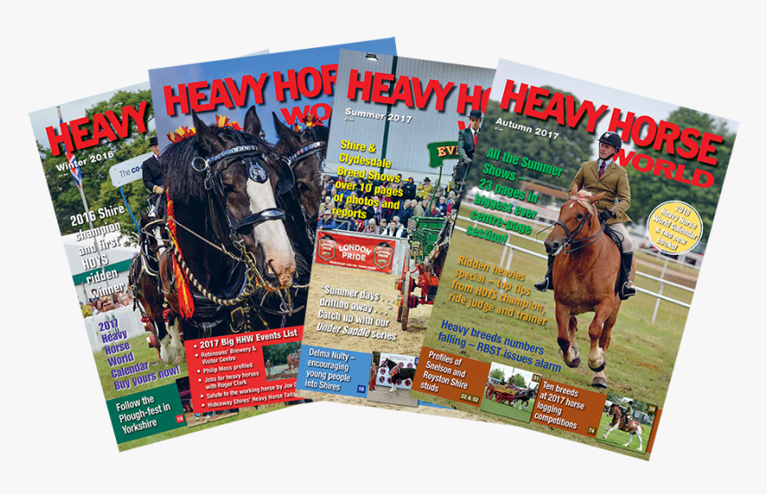 Transparent Magazine Covers Png - Sorrel, Png Download