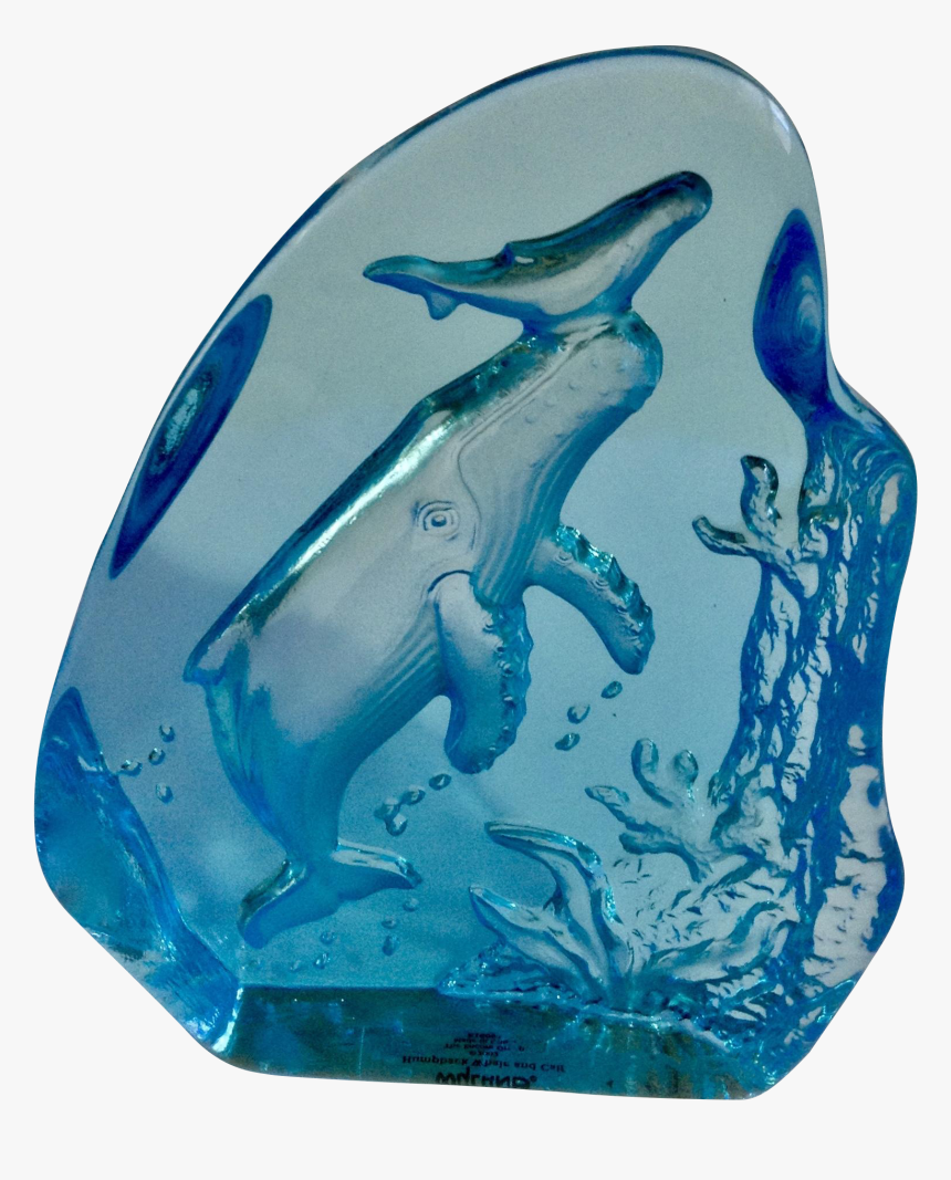 Transparent Humpback Whale Png - Common Bottlenose Dolphin, Png Download