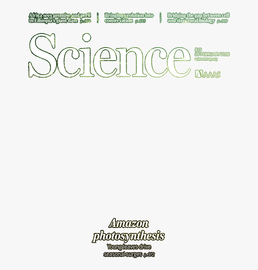 Calligraphy, HD Png Download