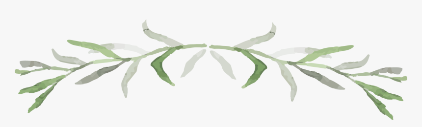 Thumb Image - Northern Catalpa, HD Png Download