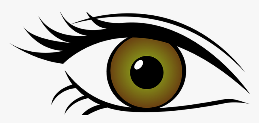 Optical Clipart Contact Lense, HD Png Download