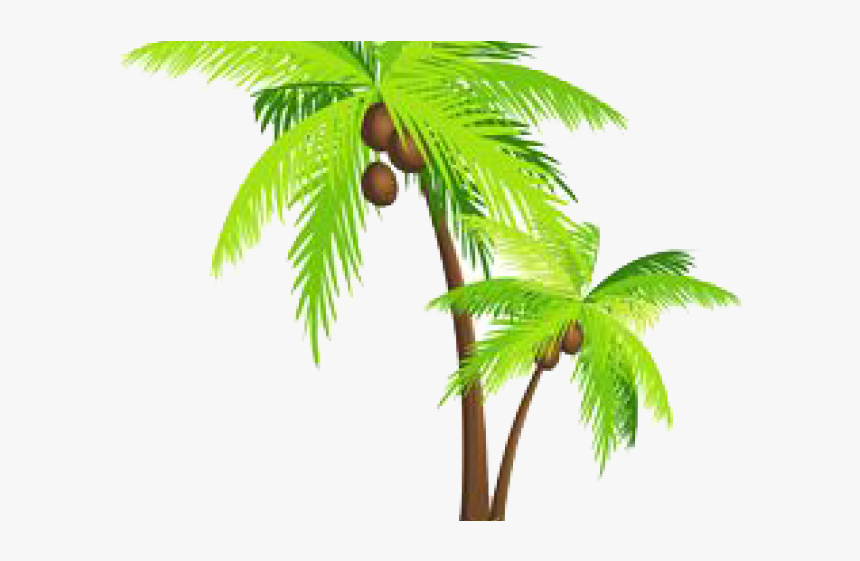Palm Tree Png Transparent Images - Transparent Background Coconut Tree Png, Png Download