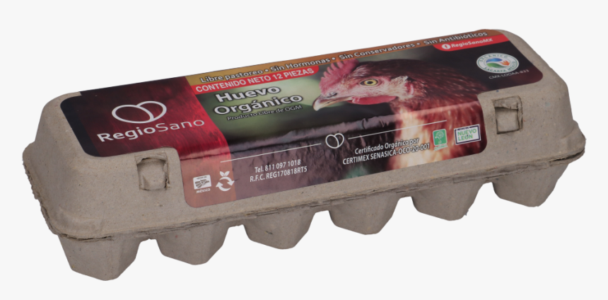 Water Gun , Png Download, Transparent Png