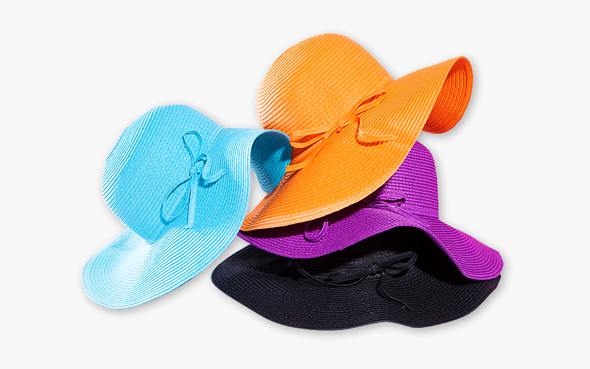 Insect, HD Png Download